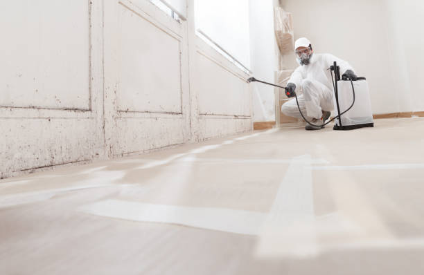 24/7 Emergency Attic Mold Removal experts in Princeton, NJ