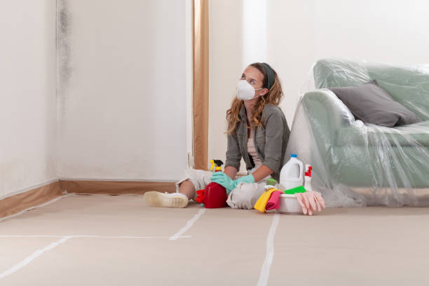 Reliable Attic Mold Removal contractor in Princeton, NJ by WQB Mold Removal